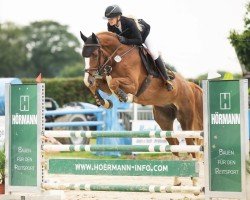 jumper No Fear PS Z (Zangersheide riding horse, 2019, from Nixon van 't Meulenhof)