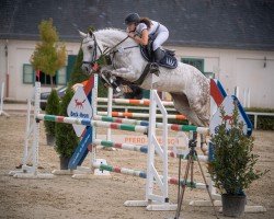 jumper Crazy Spirit 3 (Zweibrücken, 2013, from Corrinaro)