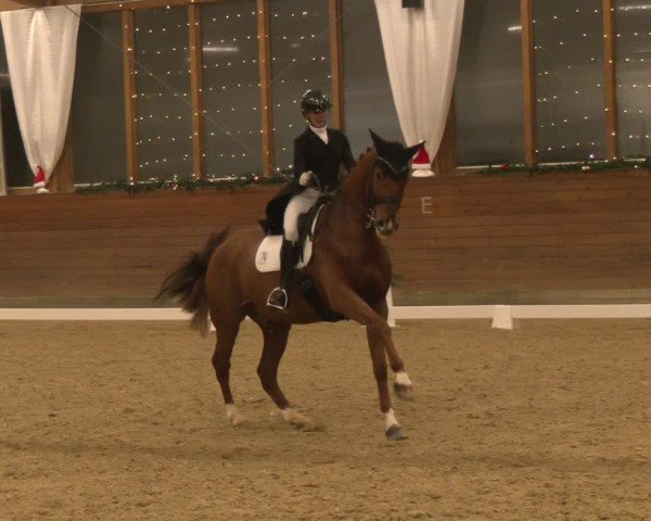 Reitturnier Coesfeld/Lette 2024