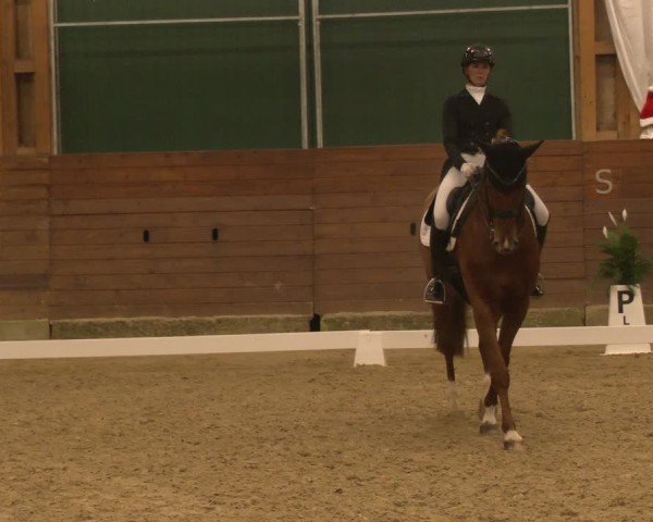 Reitturnier Coesfeld/Lette 2024