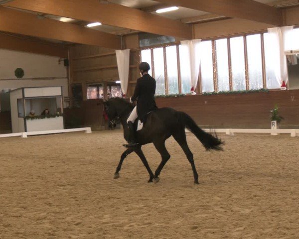 Reitturnier Coesfeld/Lette 2024
