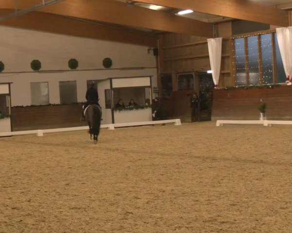 Reitturnier Coesfeld/Lette 2024