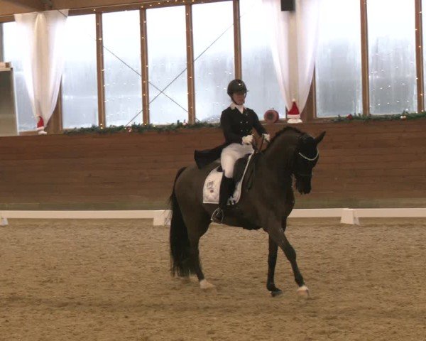 Reitturnier Coesfeld/Lette 2024