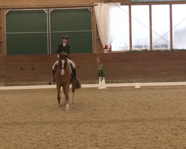 Reitturnier Coesfeld/Lette 2024