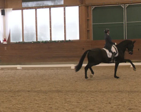 Reitturnier Coesfeld/Lette 2024