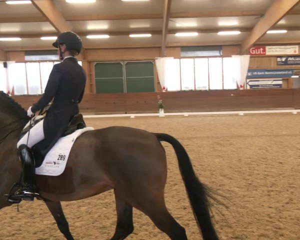 Reitturnier Coesfeld/Lette 2024