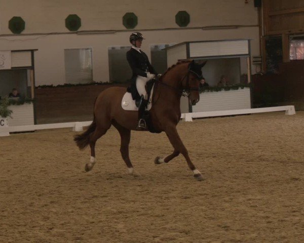Reitturnier Coesfeld/Lette 2024