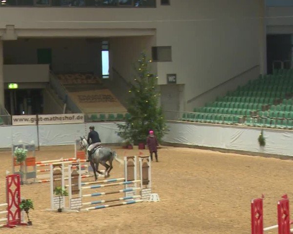 Reitturnier Kreuth/Opf. 2024