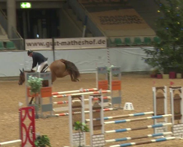Reitturnier Kreuth/Opf. 2024