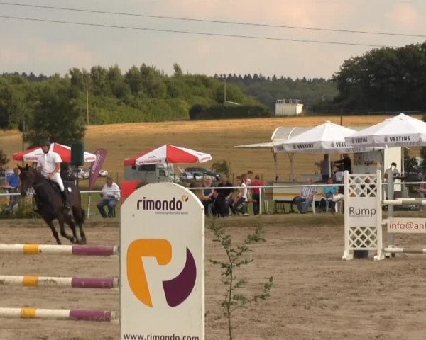 Mendener Reitertage 2013