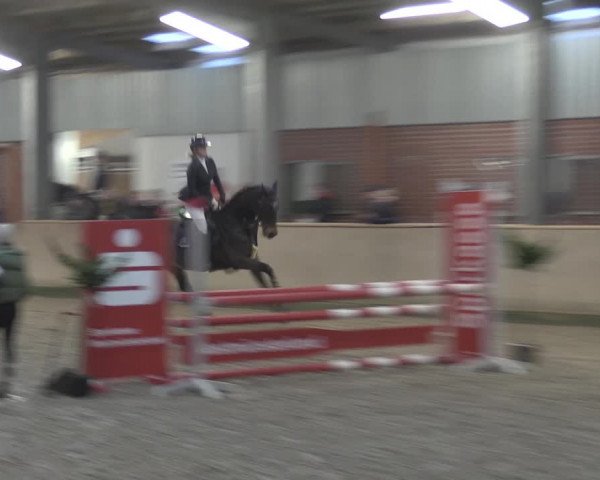 Reitturnier Ahaus 2021