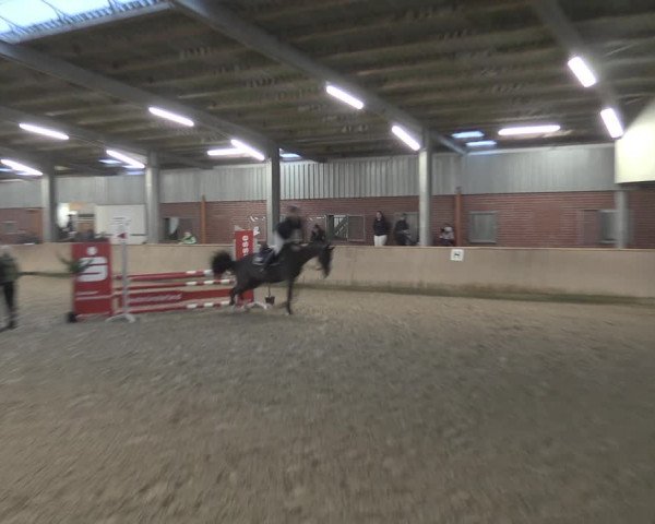Reitturnier Ahaus 2021