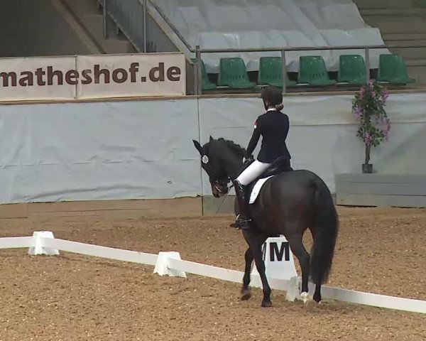 Reitturnier Kreuth/Opf. 2021