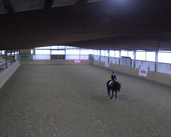 Reitturnier Borgholzhausen-Westbarthausen 2024
