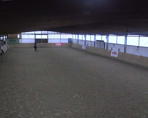 Reitturnier Borgholzhausen-Westbarthausen 2024