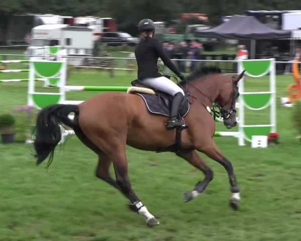 Reitsporttage an der Führser Mühle 2013