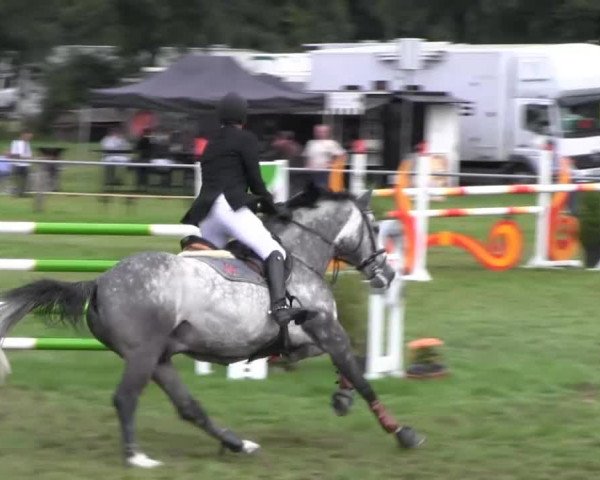 Reitsporttage an der Führser Mühle 2013