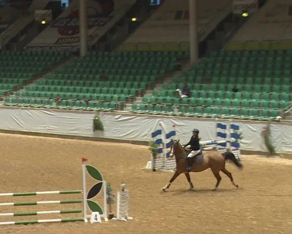 Reitturnier Kreuth/Opf. 2024