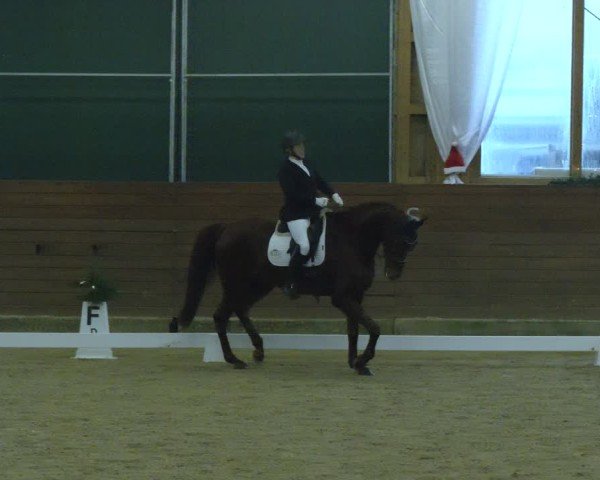 Reitturnier Coesfeld/Lette 2024