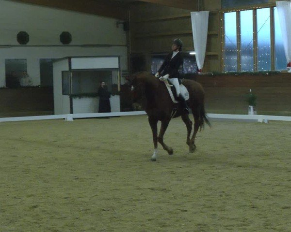 Reitturnier Coesfeld/Lette 2024