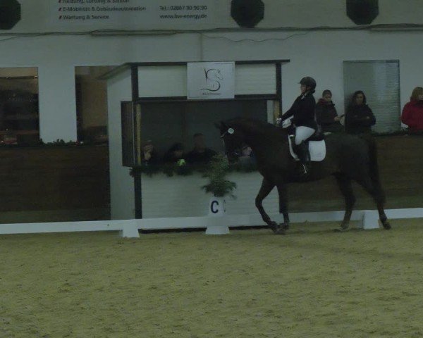 Reitturnier Coesfeld/Lette 2024
