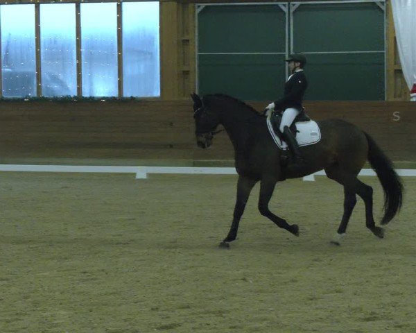 Reitturnier Coesfeld/Lette 2024