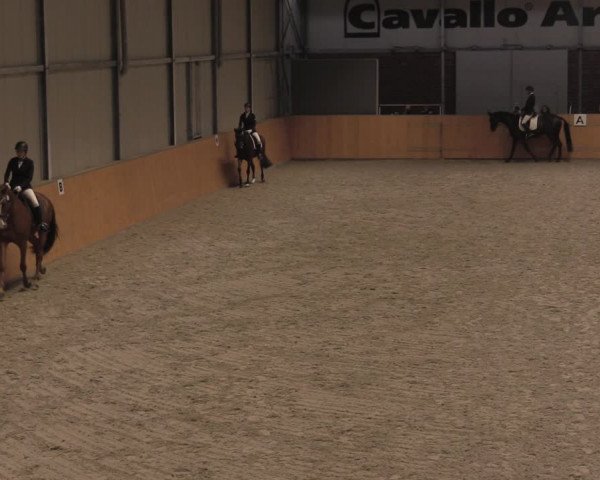 Reitturnier Güstrow/Cavallo Arena 2021