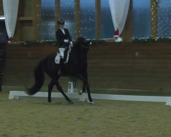 Reitturnier Coesfeld/Lette 2024