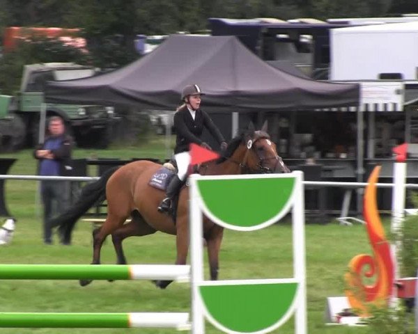 Reitsporttage an der Führser Mühle 2013