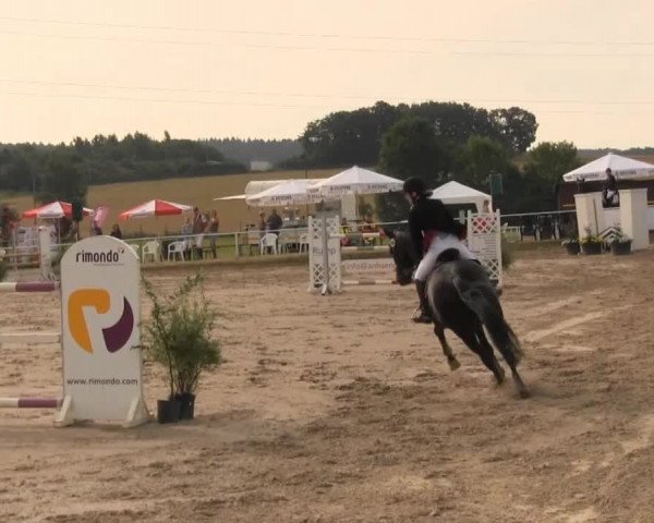 Reitturnier Menden 2013