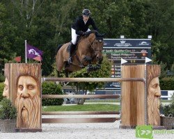 jumper Pompidou van het Kuilenhof (Belgian Warmblood, 2015, from Kannan)