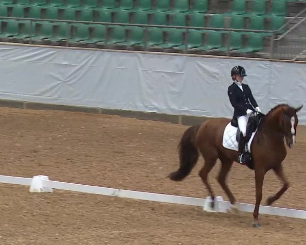 Reitturnier Kreuth/Opf. 2021