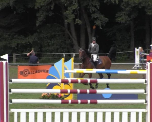 Reitsporttage an der Führser Mühle 2013