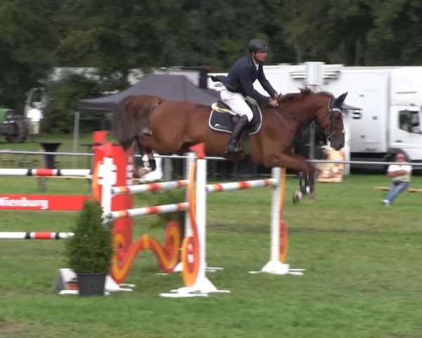 Reitturnier Nienburg 2013