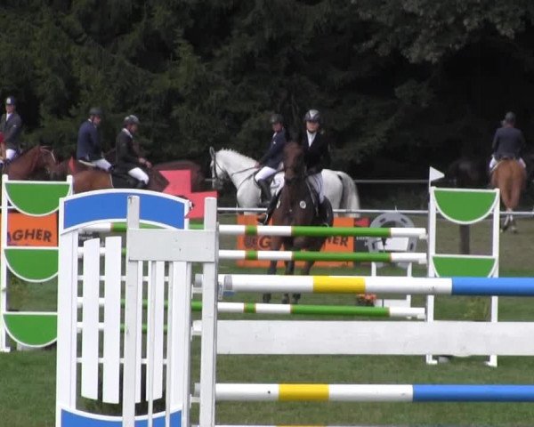 Reitsporttage an der Führser Mühle 2013