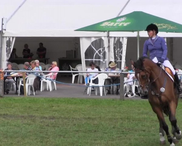 Reitturnier Nienburg 2013