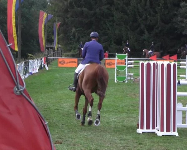 Reitturnier Nienburg 2013