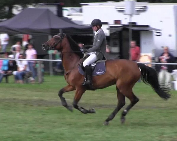 Reitsporttage an der Führser Mühle 2013