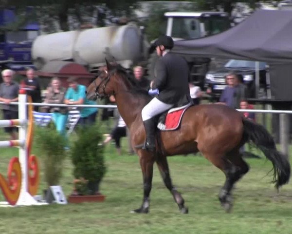 Reitsporttage an der Führser Mühle 2013