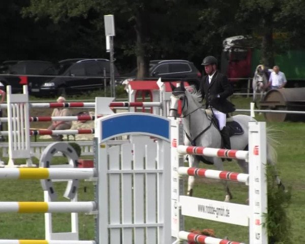 Reitsporttage an der Führser Mühle 2013