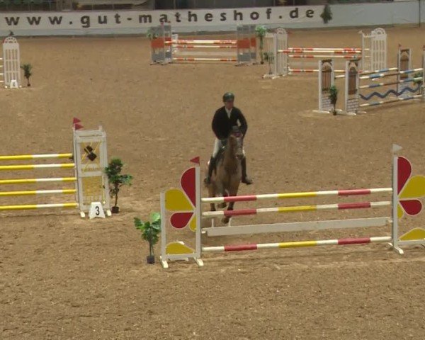Reitturnier Kreuth/Opf. 2024