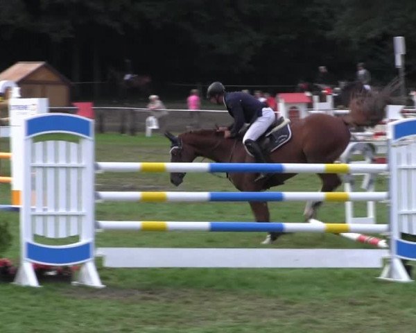 Reitturnier Nienburg 2013