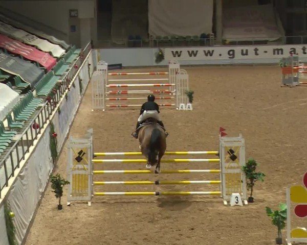 Reitturnier Kreuth/Opf. 2024