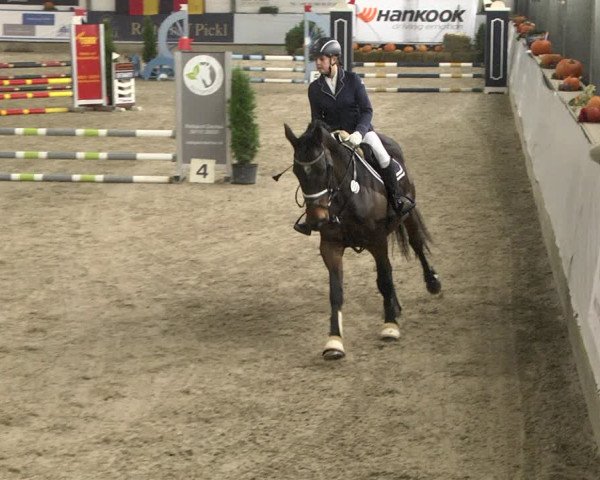 Reitturnier Karlsfeld/Obb. 2021