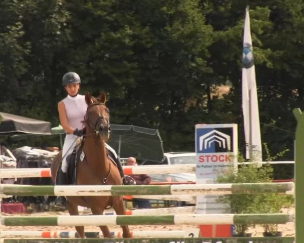 Reitturnier Menden 2013
