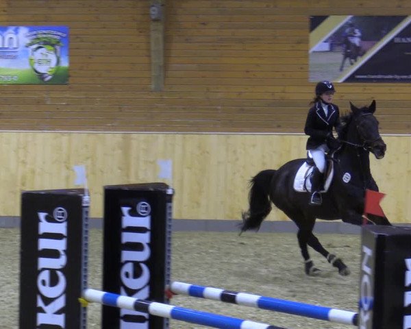 Reitturnier Paderborn 2021