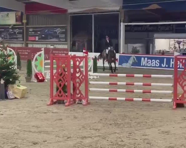 Reitturnier Negernbötel 2024