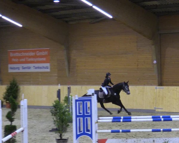 Reitturnier Paderborn 2021