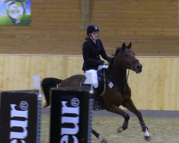 Reitturnier Paderborn 2021