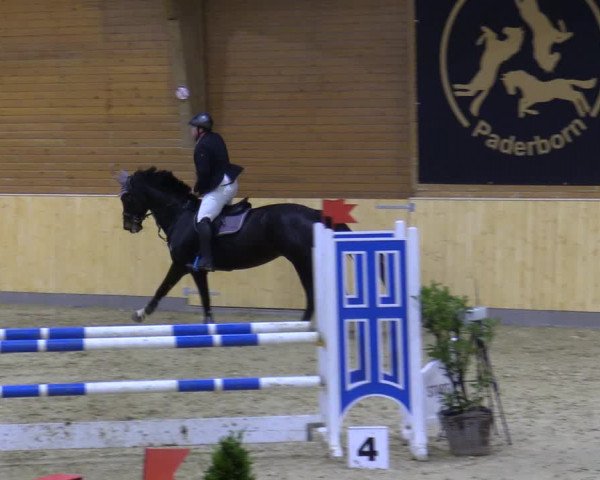Reitturnier Paderborn 2021
